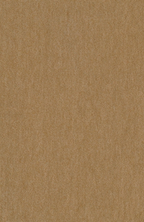 Nutria Melange - 2G22